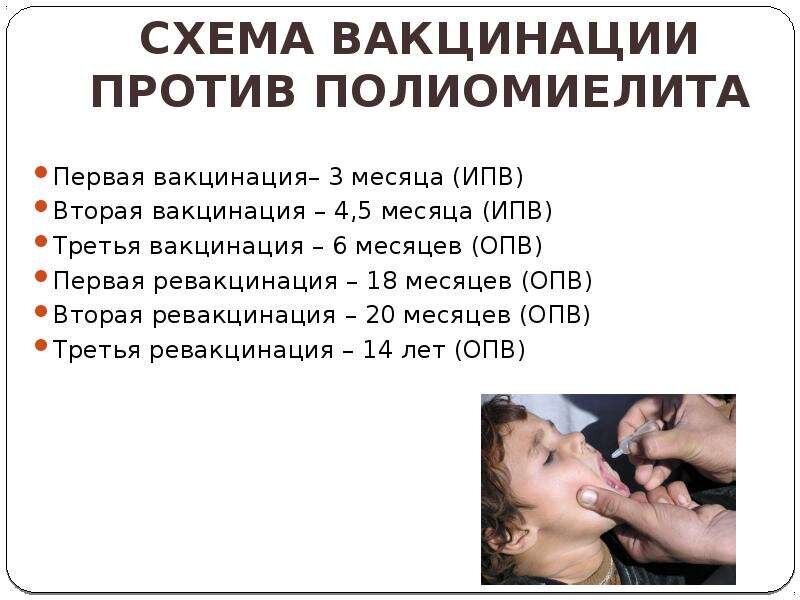 График вакцинации. У нас 4 прививки уже сделано было. 