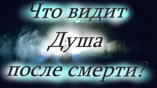 Что бывает с душой после смерти? Как поминать умерших в особые дни? Митрополит Илларион