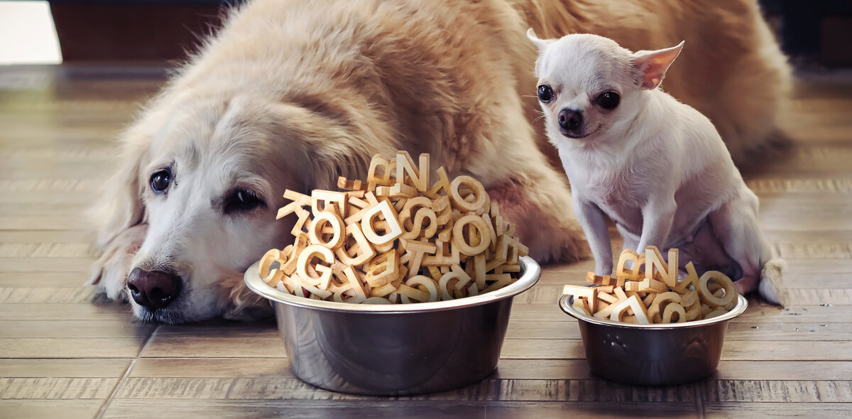 Коллаж: Анна Бабич