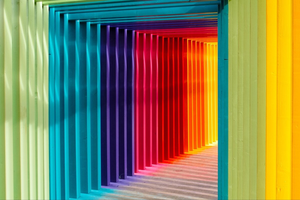 Фото: Unsplash