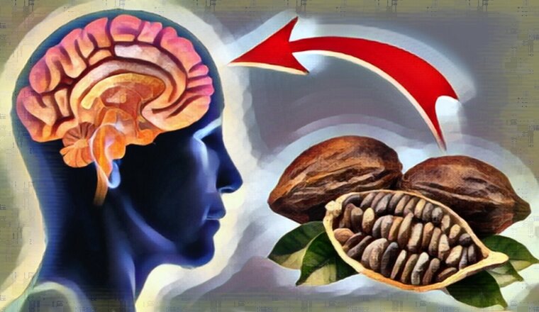 Мозг и память после 40. Старение мозга. Картинки на тему улучшения памяти. Продукты, из–за которых стареет мозг.