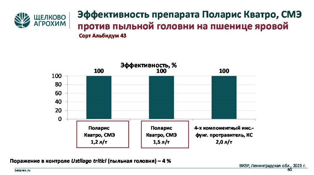 Эффективность Поларис Кватро, СМЭ против пыльной головни на пшенице яровой (сорт Альбидум – 43). ВИЗР, Ленинградская обл., 2021