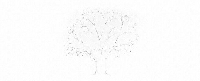 Рисунки деревьев для срисовки