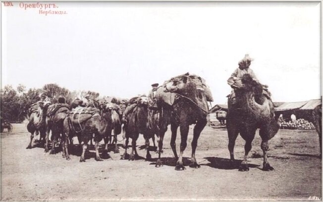 Караван в Оренбурге