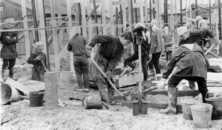 Яндекс картинки