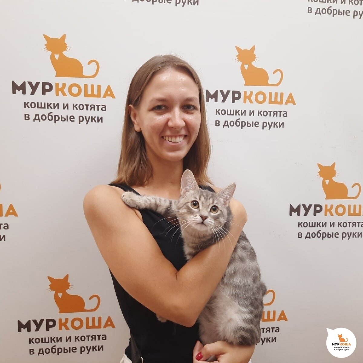 Свитлипс спешит домой. 😍