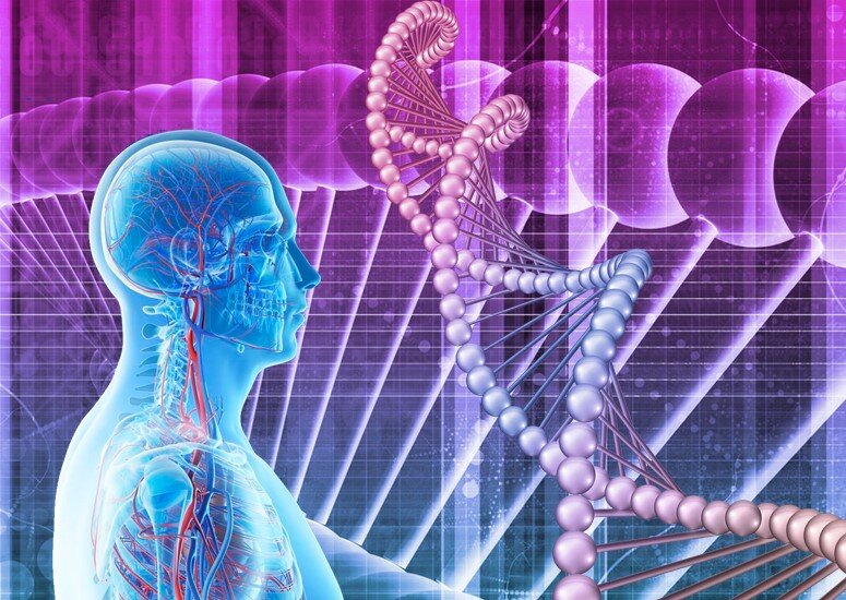 Картинка Светлана К.