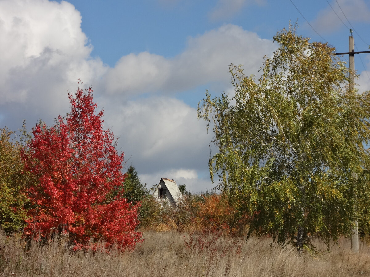 Фото автора