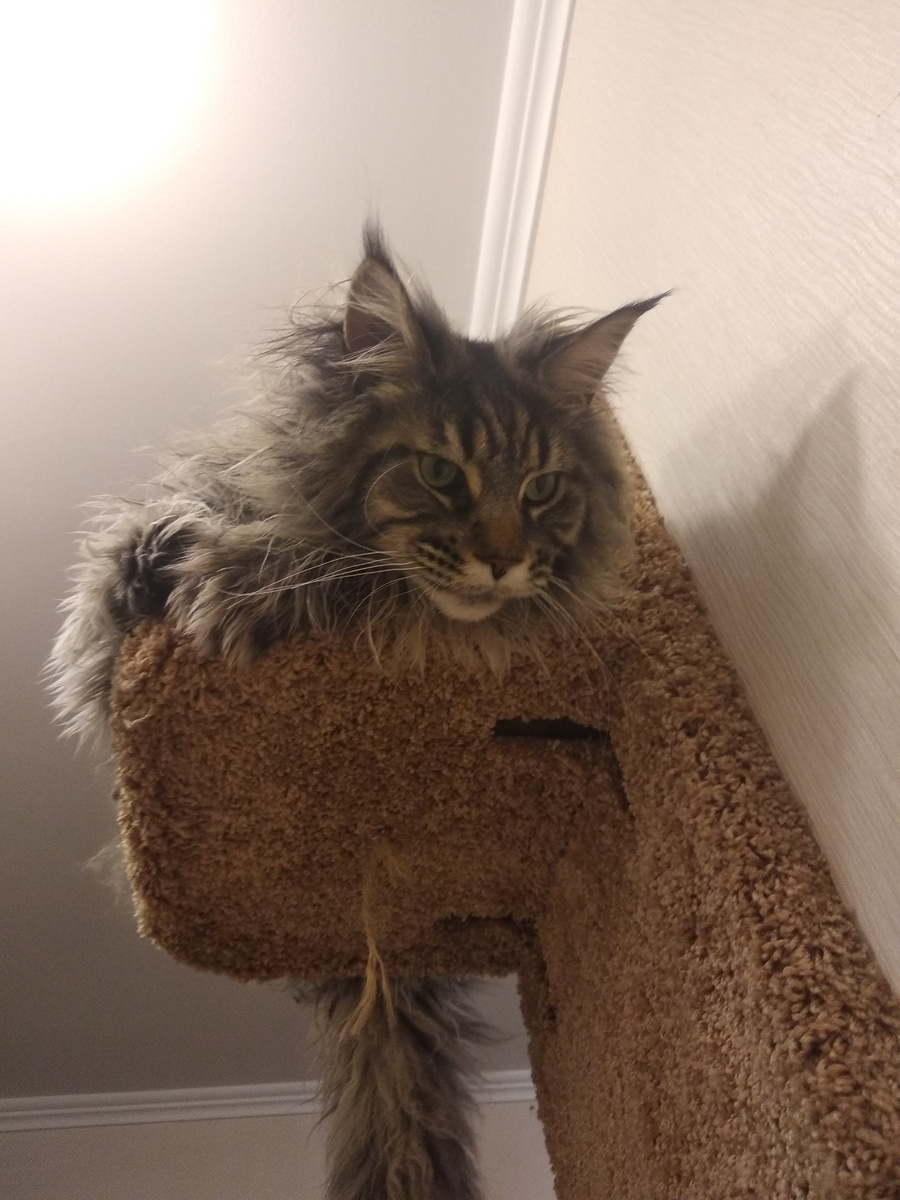 наш любознательный мальчик)))  