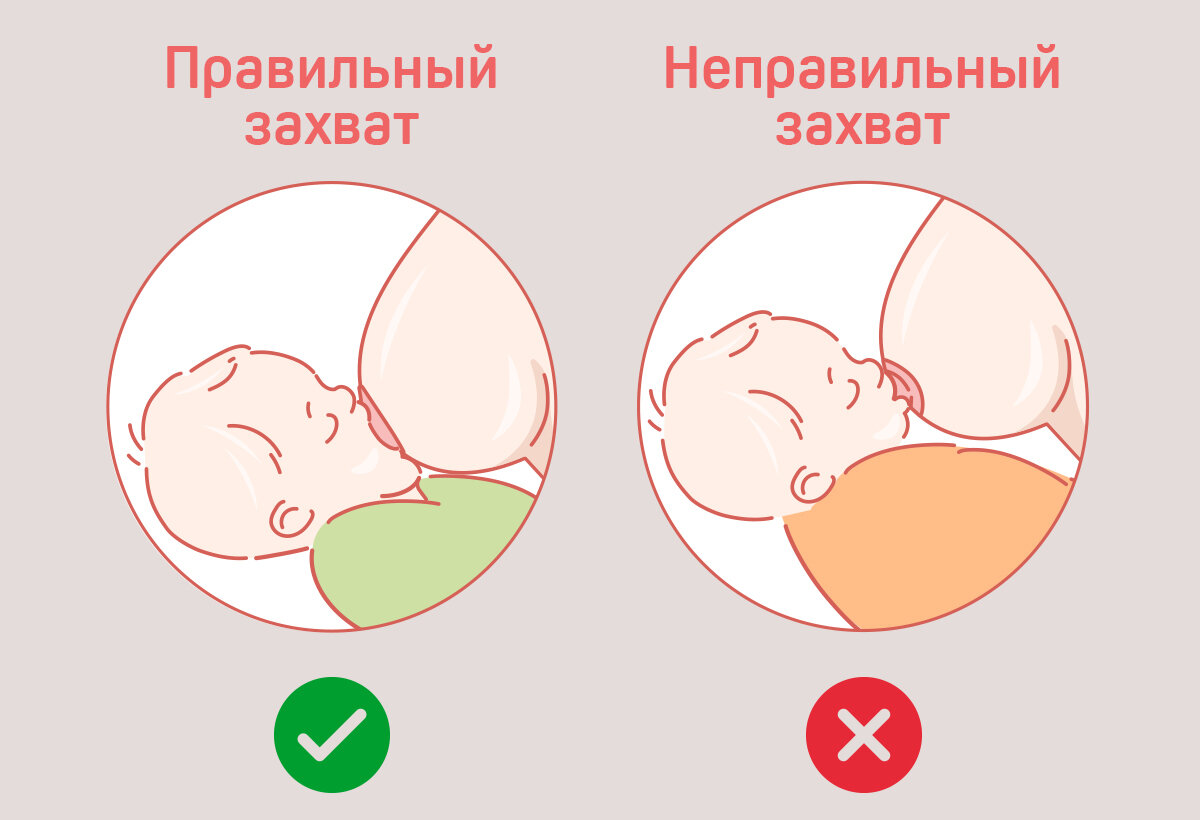 Как прикладывать новорожденного к груди