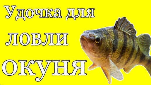 Что нужно на зимнюю рыбалку начинающим — снаряжение, снасти и способы лова