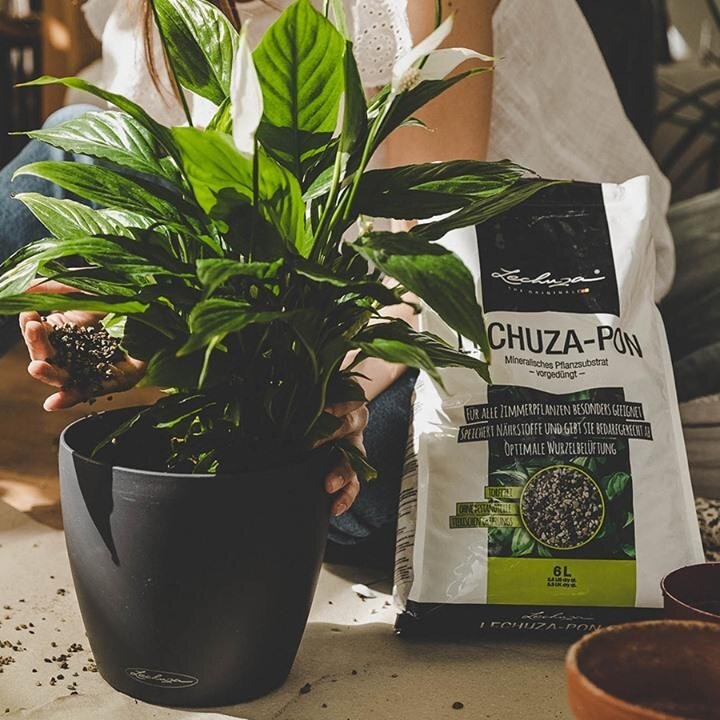 Субстрат LECHUZA-PON