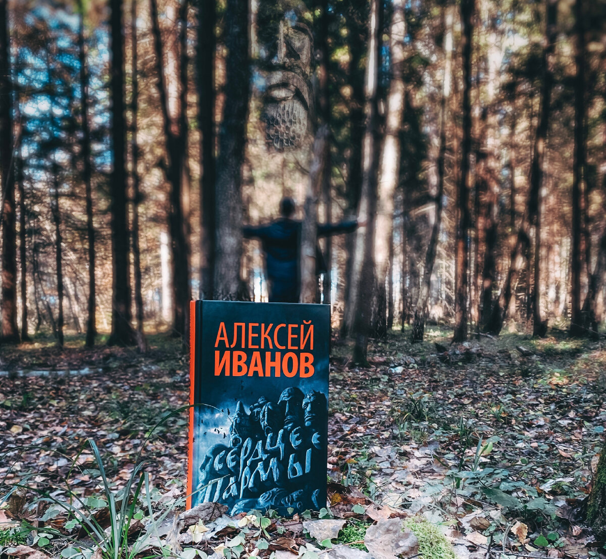 Твердая обложка, 507 стр., Редакция Елены Шубиной