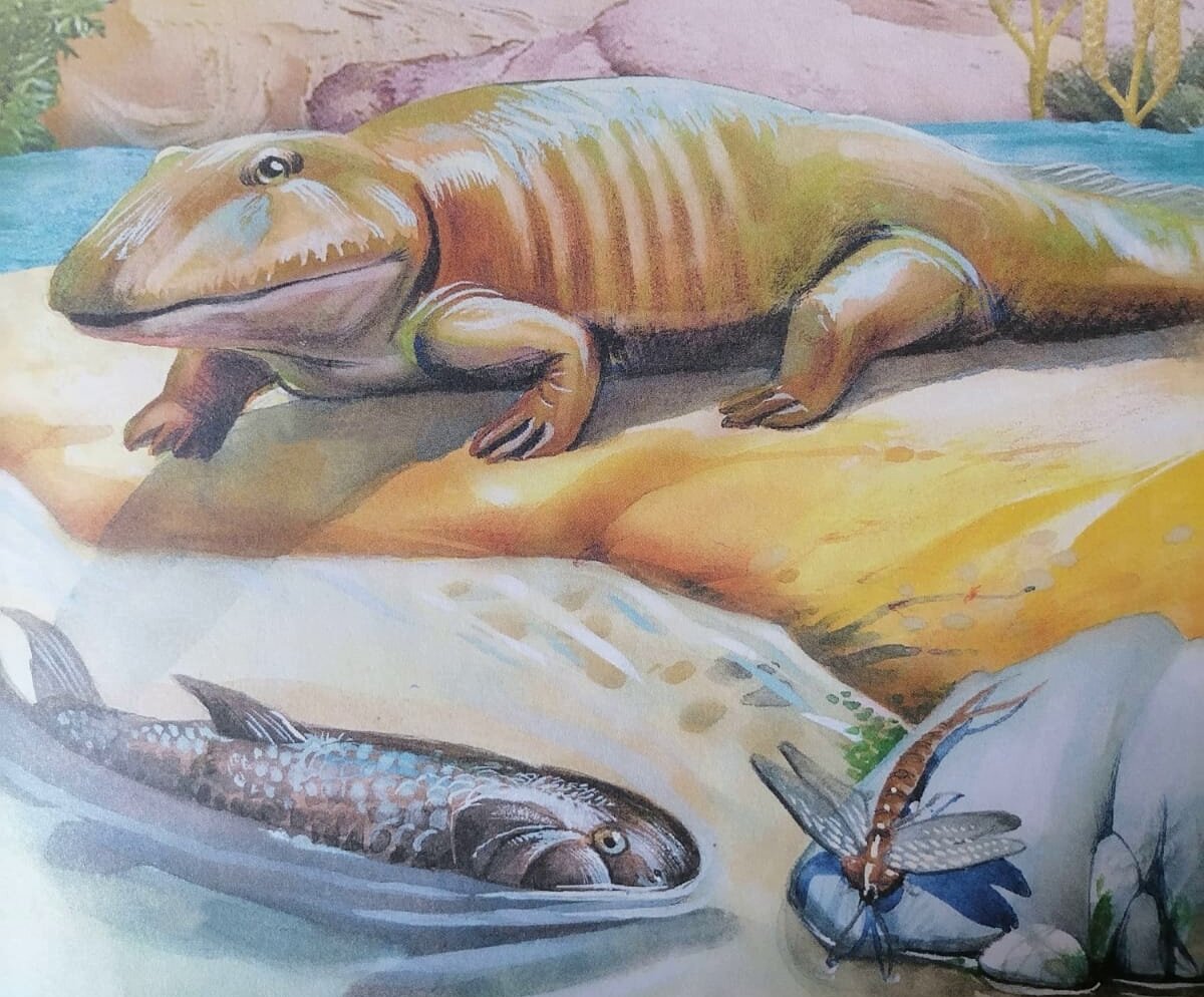 416 000 000 лет назад.