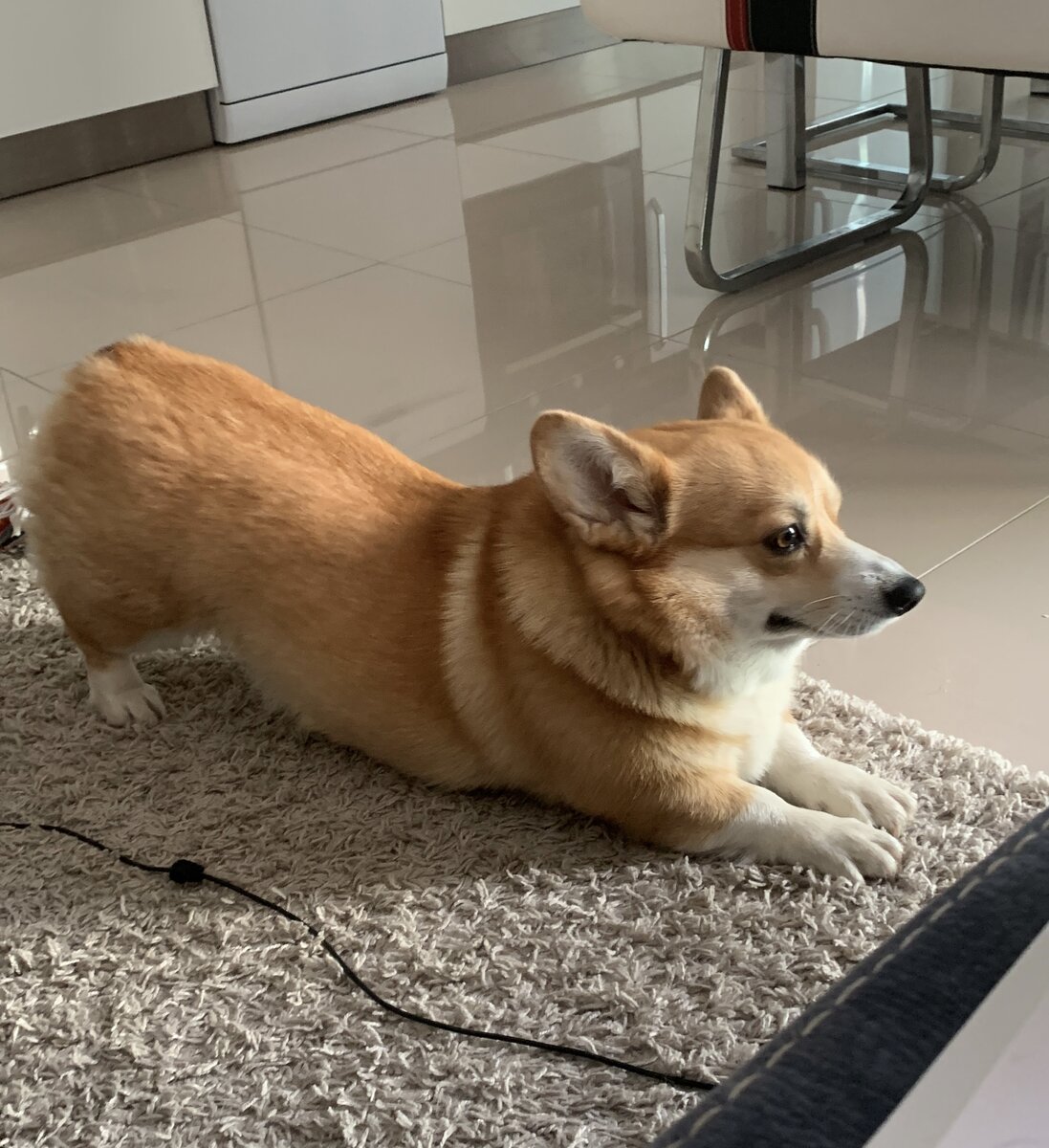 Утренняя йога