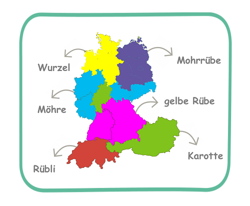 Möhre