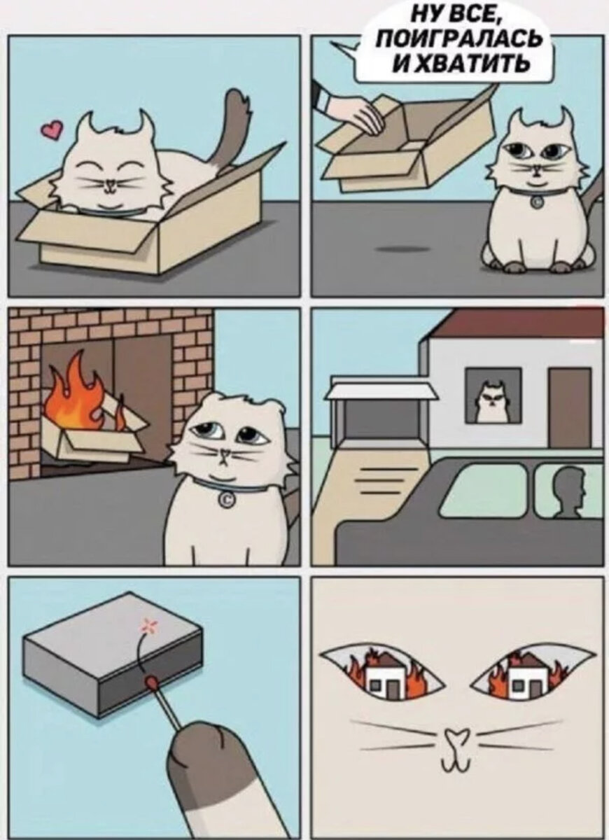 Картинки мемы с котами