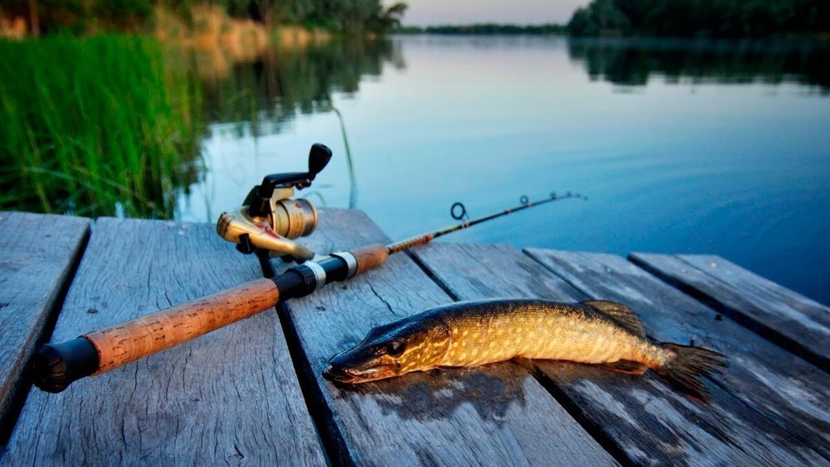 Рыбалка (фото из открытого источника)