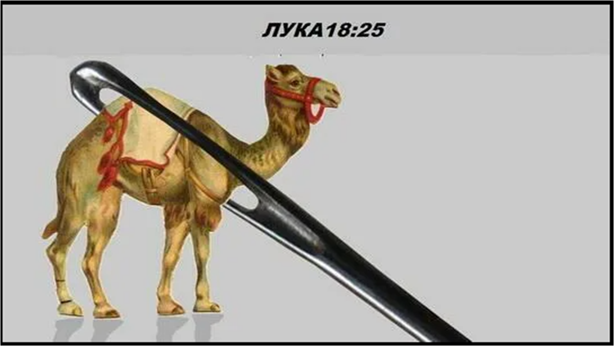 Легче верблюду пройти через игольное ушко. Верблюд и игольное ушко. Верблюд пролезет в игольное ушко. Вебблюд и игольчатое ушко. Верблюд игольное ушко Библия.