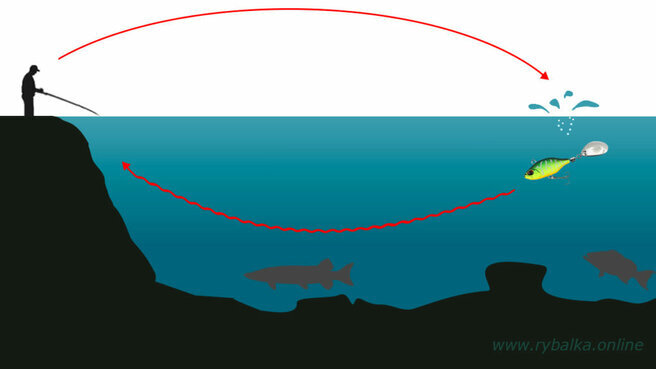 Тейл спиннер на равномерной проводке.