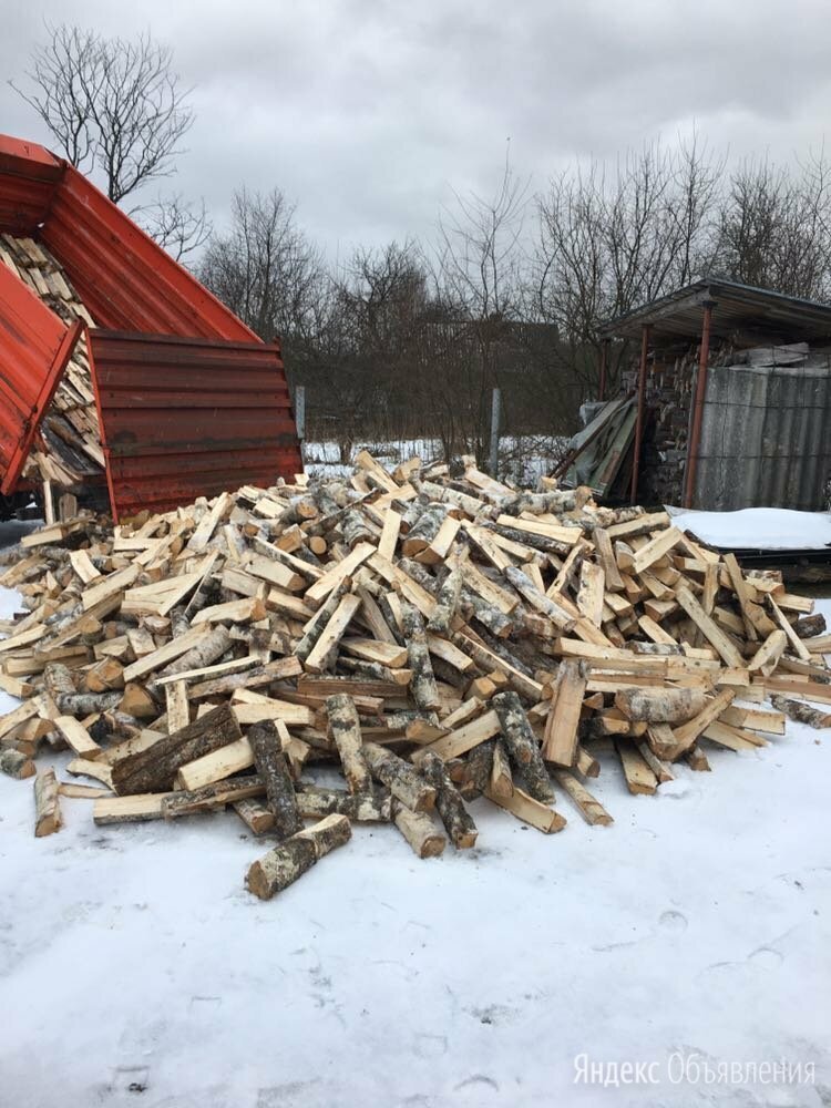 фото из интернета