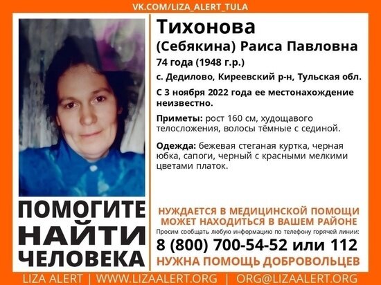     фото: поисковый отряд "ЛизаАлерт" Тульская область