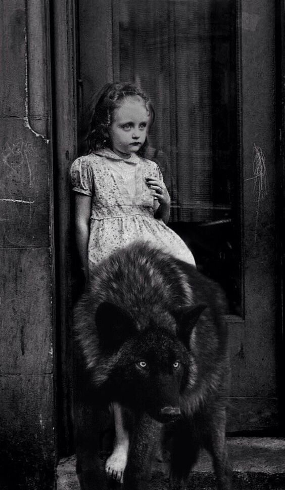 Из открытых источников