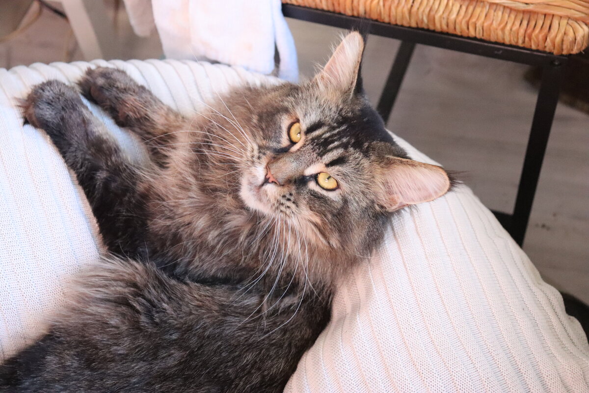 Фото из личного архива.