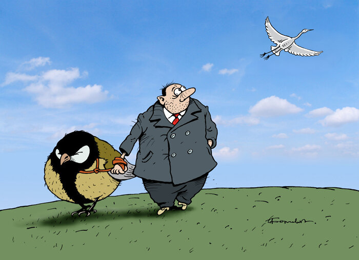 фото из нета