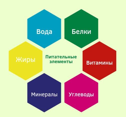 Питательные элементы