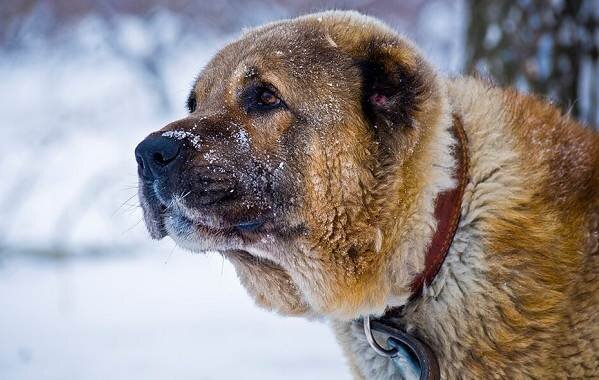 Фото из открытого доступа