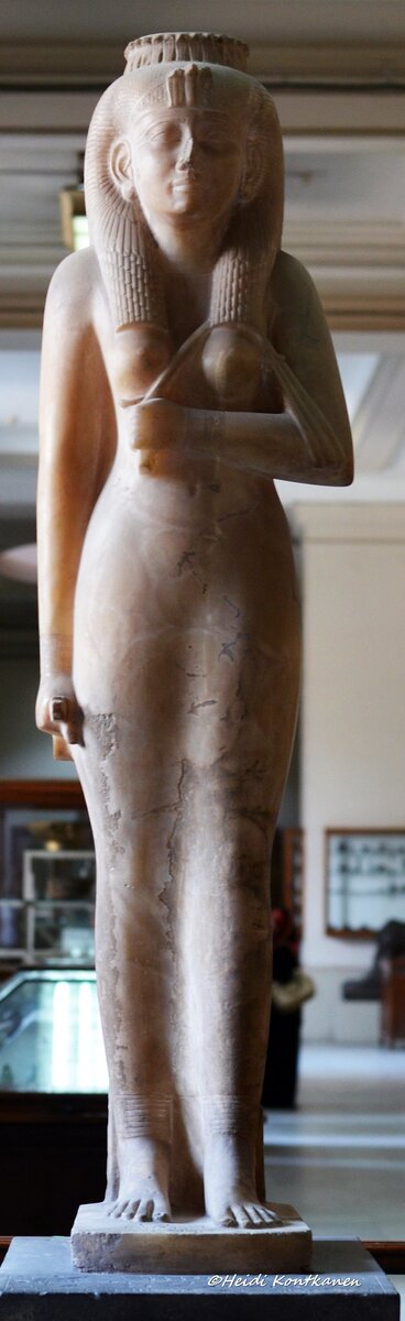 ���������.