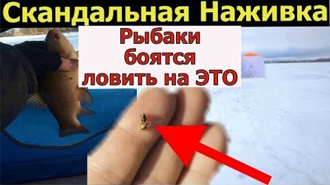 Рецепт уловистой прикормки на леща - делаем сами