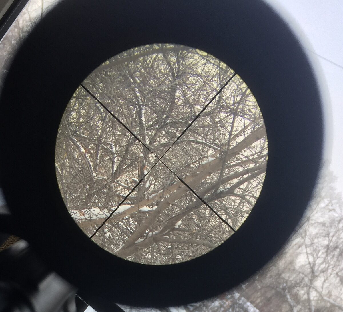 Вид в 4-х кратную оптику