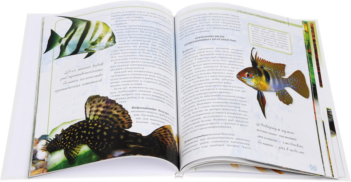 Фото взято на просторах сети интернет