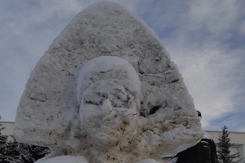     Кусочки веток и грязи, действительно походят на некую "небритость". Фото: Подслушано Кувандык