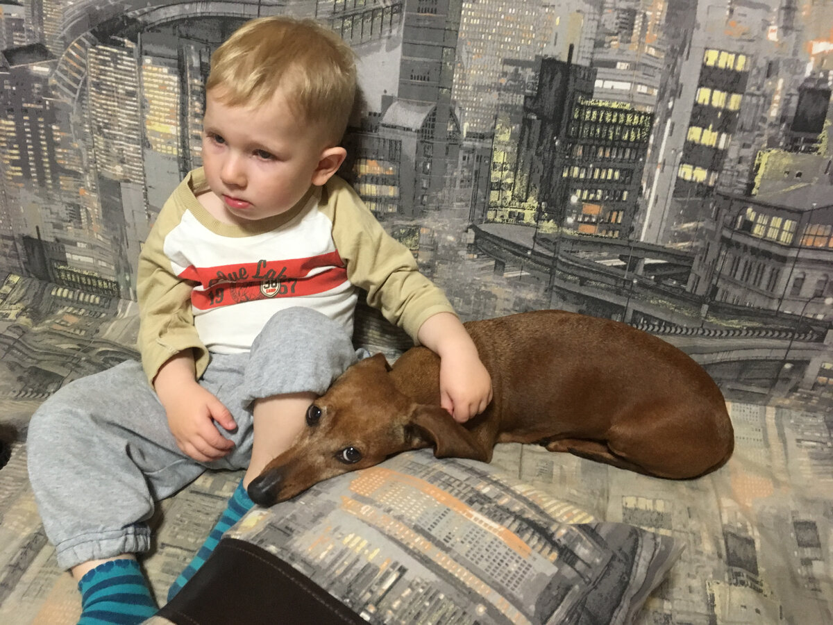 Вы только посмотрите в эти глаза)