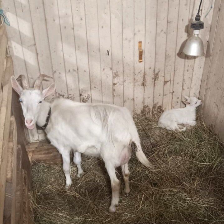 Под лампой тепло...