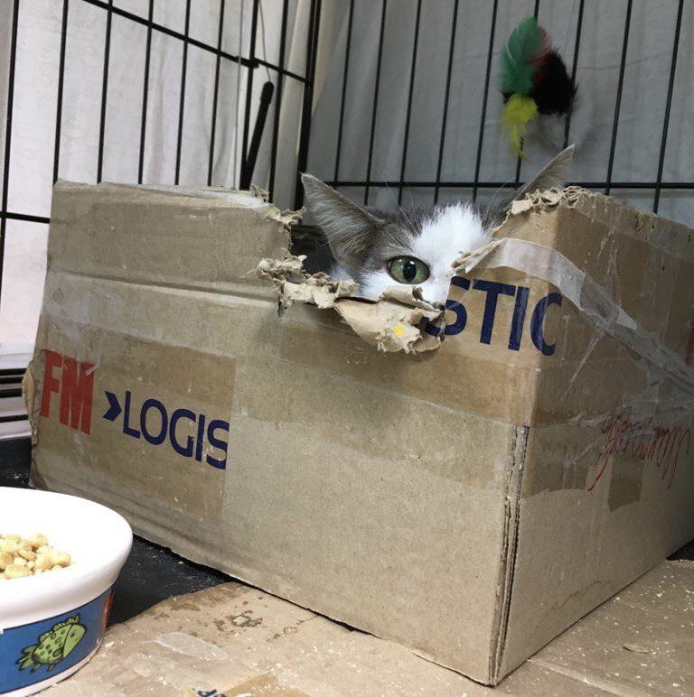 Настасья предпочитает переждать волнительные месяцы в безопасном месте 😅 