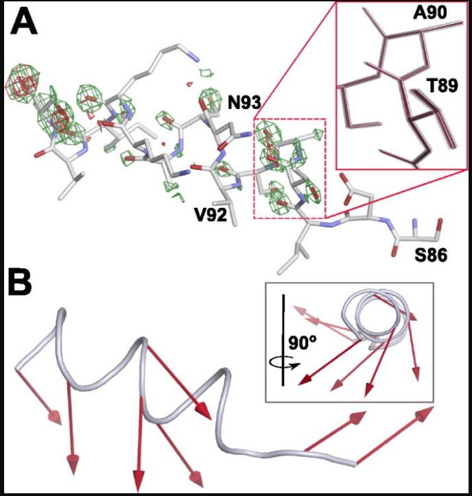 Согласно анализу, наблюдаемые изменения коллективного возбуждения дипольных осцилляторов в белках можно объяснить только присутствием конденсации Фрёлиха.