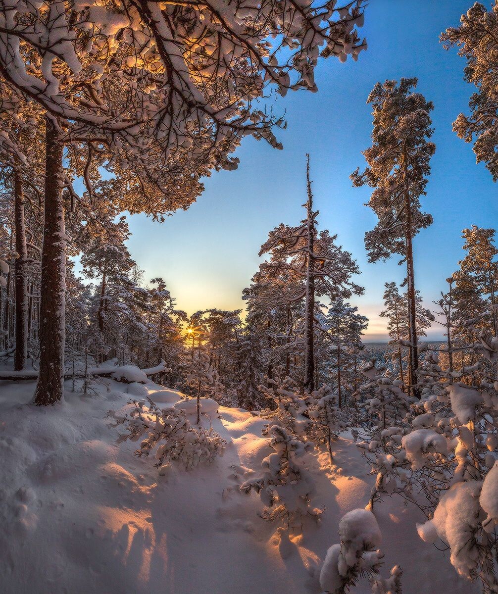 Яндекс.Картинки