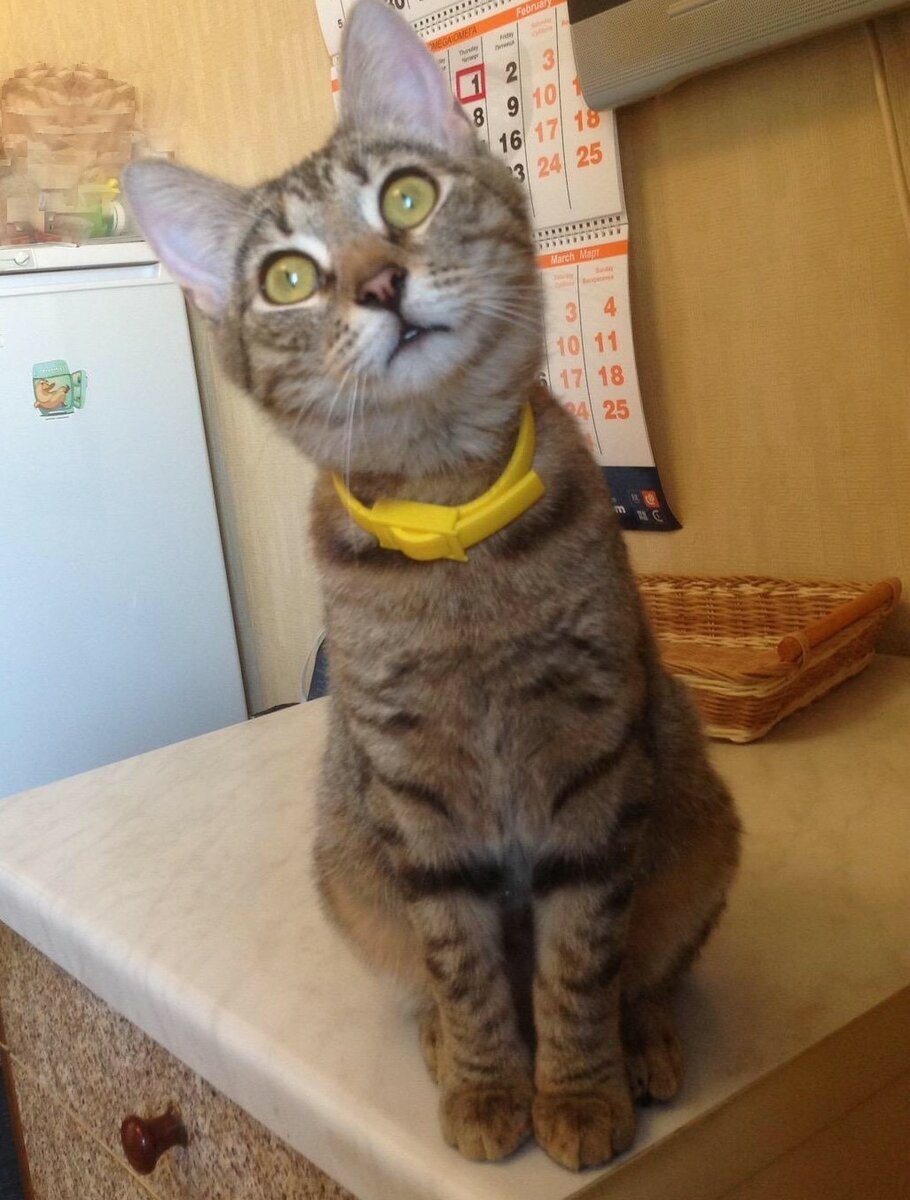 Теперь можно и помечтать....