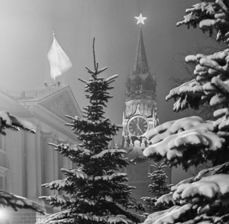 Фото В. Егорова