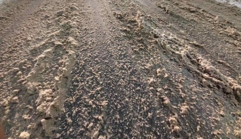    В ночь на 5 января в Оренбуржье ожидается снег, морось, туман и до -16 градусов Кристина Просвиркина