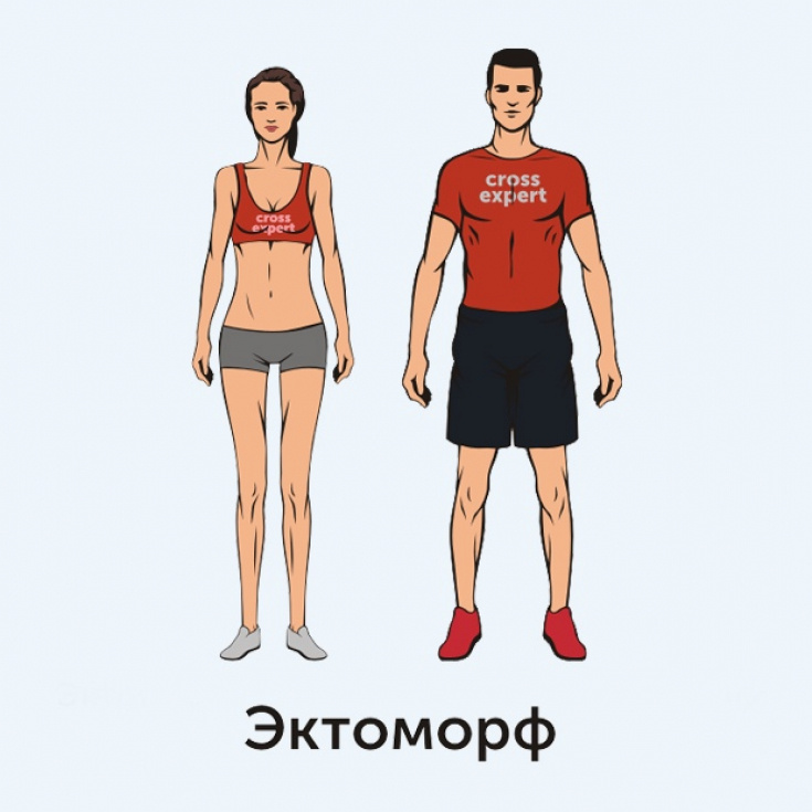 Источник изображения: Яндекс картинки