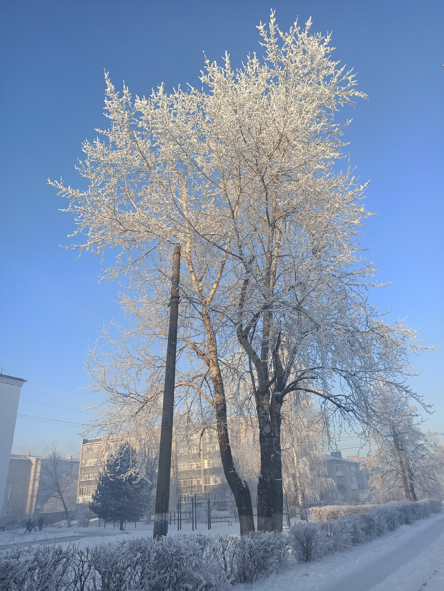 Мороз и солнце... 