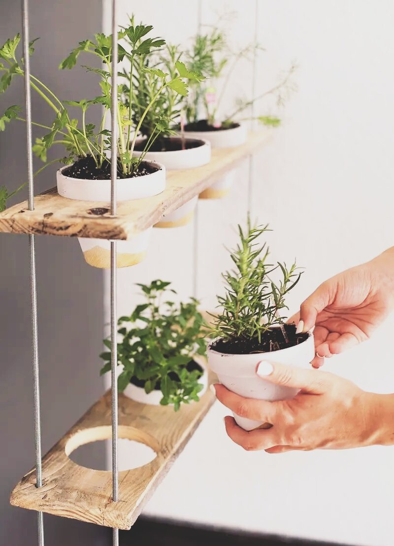 Как сделать подвесной огород, инструкция здесь: https://freshmommyblog.com/custom-potted-hanging-herb-garden-diy/