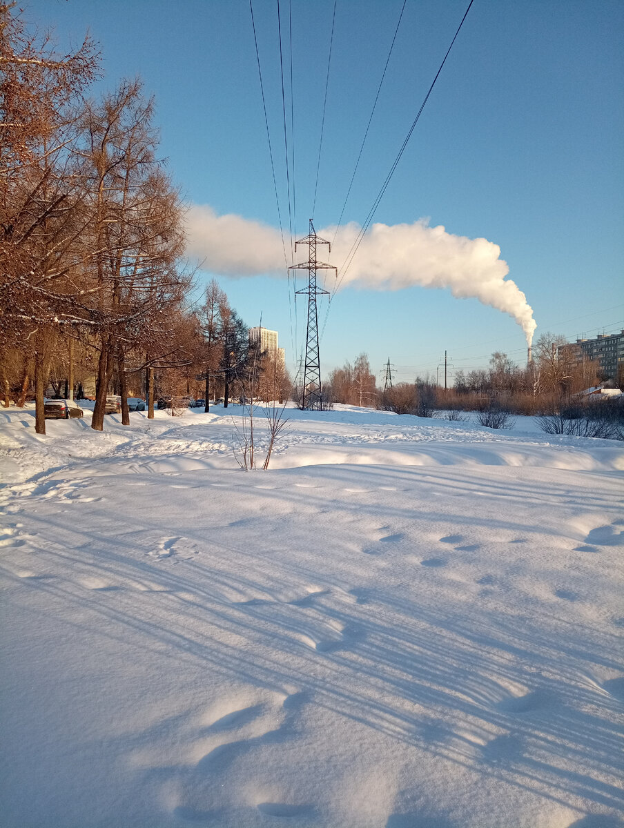 Такая погода у нас: красиво, но морозно! 