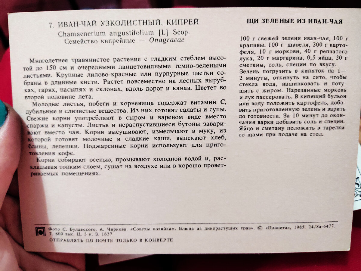 15 экзотических блюд советской кулинарии. Это вам не каша из топора. Рецепты  на открытках. | Читающий хомяк | Дзен