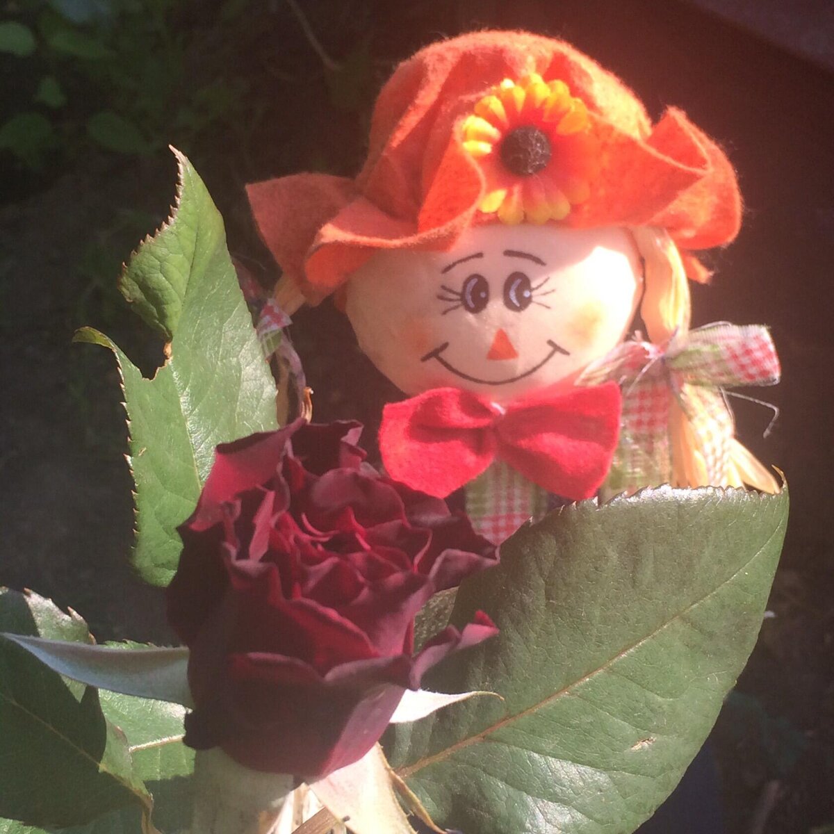 Блэк Баккара фото автора 